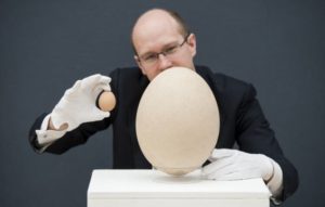 Large bird egg vs regular bird egg