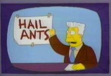 All Hail Facts About Ants