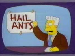 All Hail Facts About Ants
